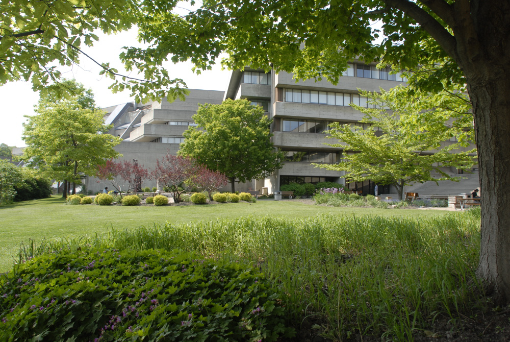The H wing patio in the summer.
